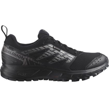 Salomon Wander GTX W