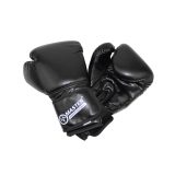 Boxovacie rukavice MASTER TG10 · záber 1