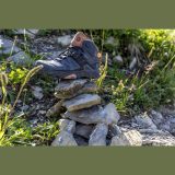 Salomon X Ultra 4 MID GTX W - Veľkosť: 42 2/3 · záber 11