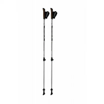 Nordic walking palice BLIZZARD Alu Performance nordic walking poles, silver black