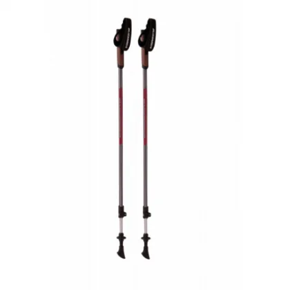 Nordic walking palice BLIZZARD Alu Performance nordic walking poles, anthracite pink