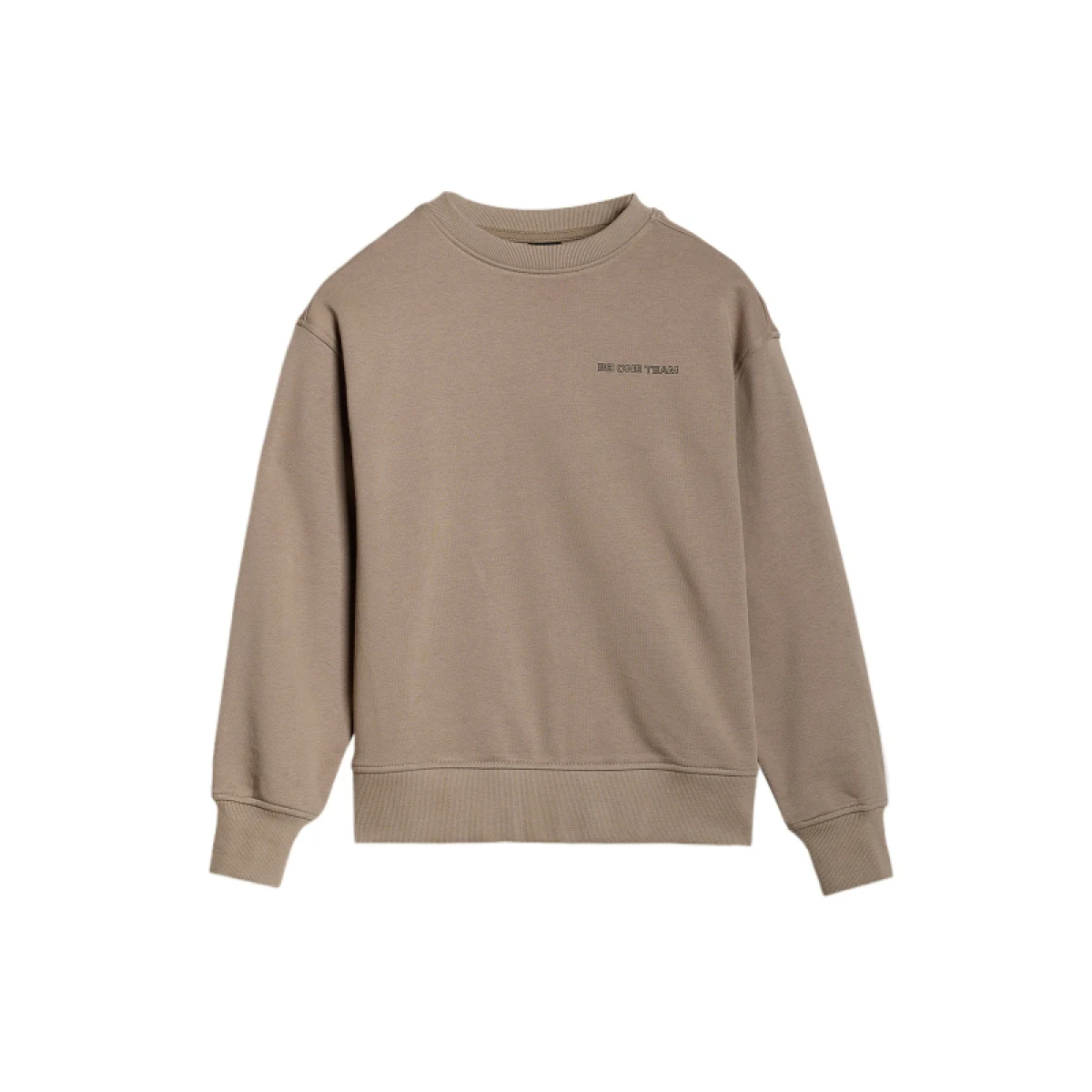 Chlapčenská mikina 4F JUNIOR SWEATSHIRT-JWSS25TSWSM1713-83S-BEIGE · záber 5