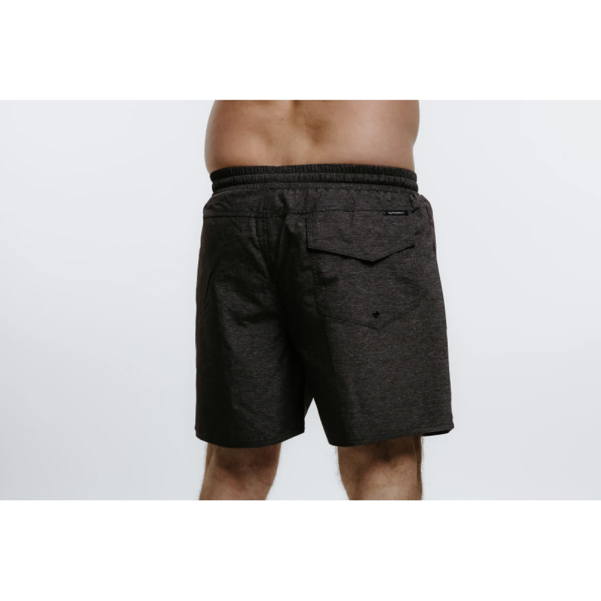 Pánske plavky AUTHORITY SW-COLORAS grey melange · záber 3