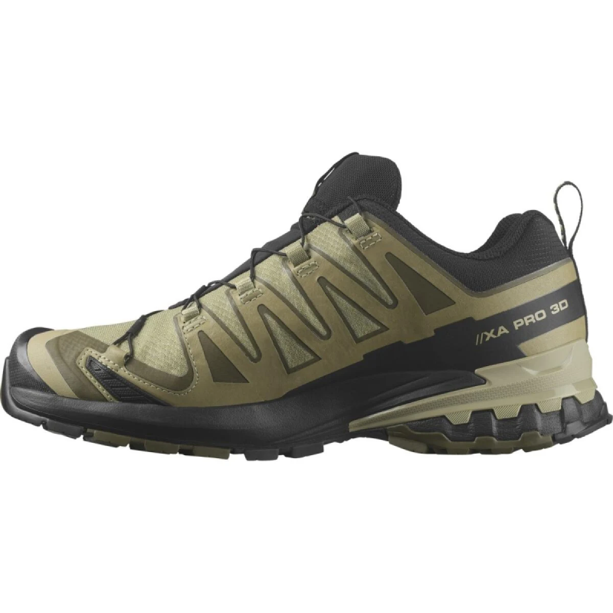 Pánska bežecká trailová obuv SALOMON XA Pro 3D V9 GTX M dried herb black olive night · záber 2