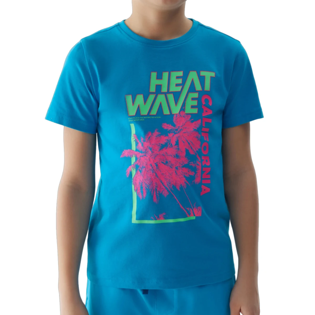 Chlapčenské tričko s krátkym rukávom 4F JUNIOR TSHIRT-4FJWSS24TTSHM1137-33S-BLUE · záber 3
