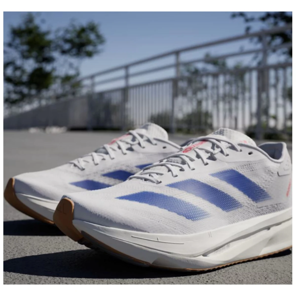 Pánska bežecká obuv ADIDAS Adizero SL2 M cloud white royal blue pure ruby · záber 5