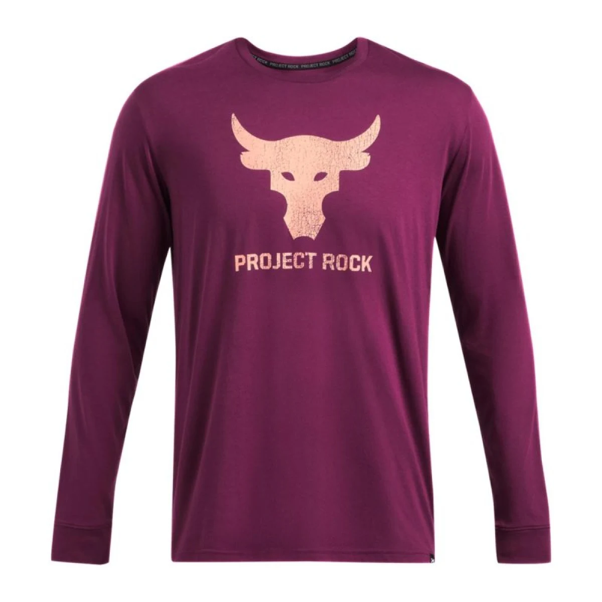 Pánske tričko s dlhým rukávom UNDER ARMOUR PROJECT ROCK UA PROJECT ROCK BRAHMA BULL LS-PPL · záber 3