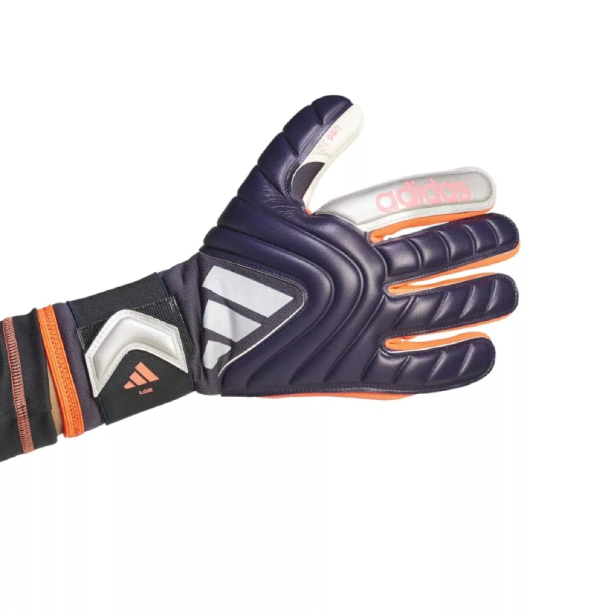 Pánske futbalové brankárske rukavice ADIDAS COPA LEAGUE-IX3831-Purple · záber 2