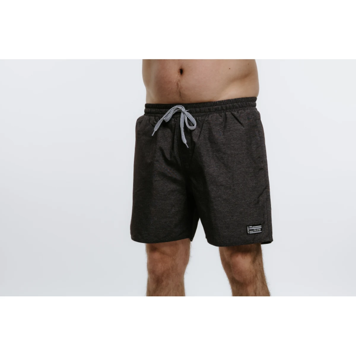 Pánske plavky AUTHORITY SW-COLORAS grey melange · záber 2