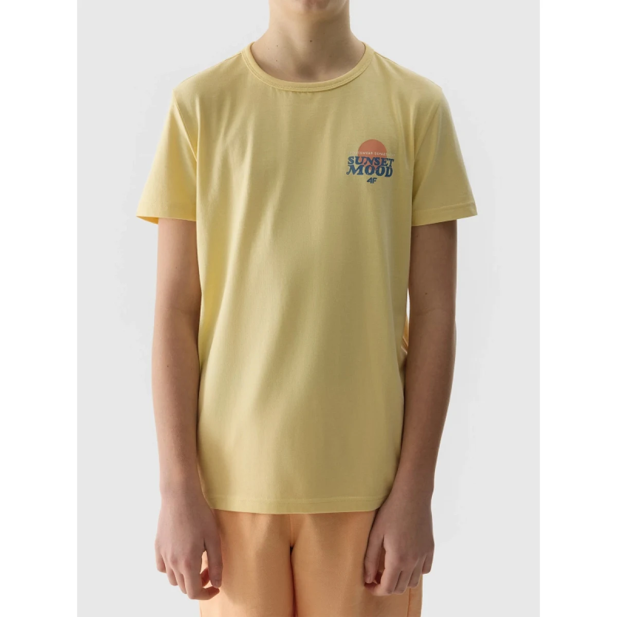 Chlapčenské tričko s krátkym rukávom 4F JUNIOR TSHIRT-4FJWSS24TTSHM1136-73S-LIGHT LEMON · záber 5