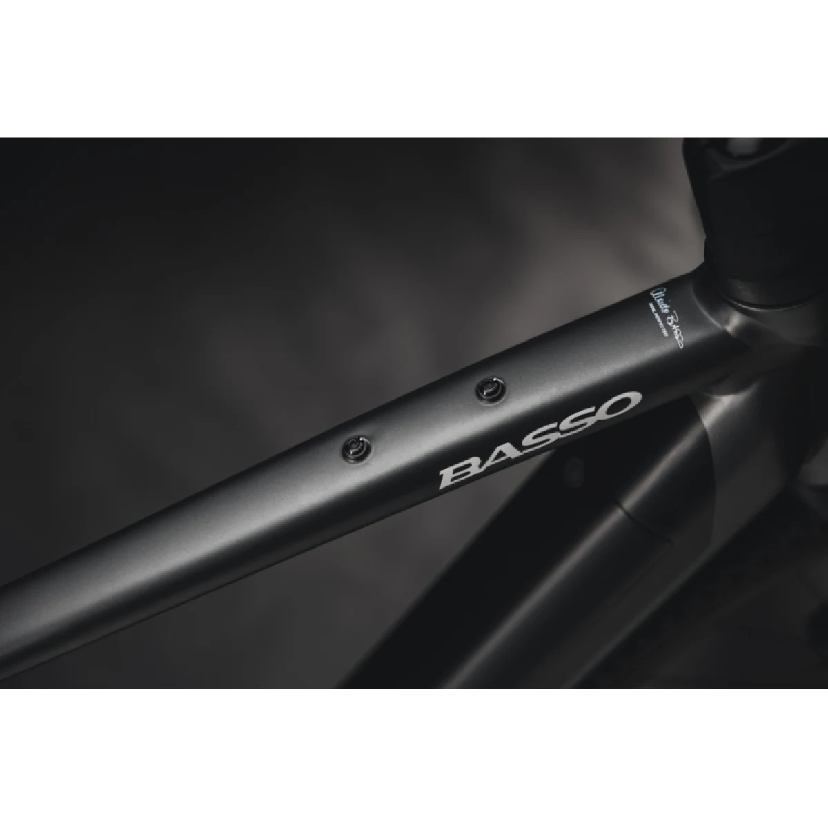 Gravel elektrobicykel BASSO Vega, anthracite, Sram Apex, Microtech MX25 · záber 5