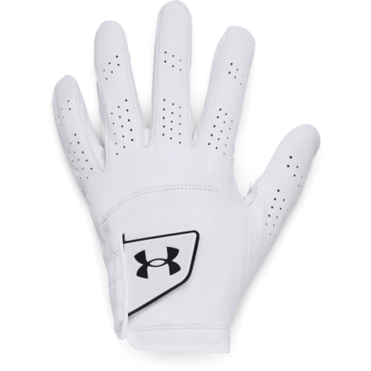 Golfové rukavice UNDER ARMOUR UA Spieth Tour Golf Glove-WHT · záber 1