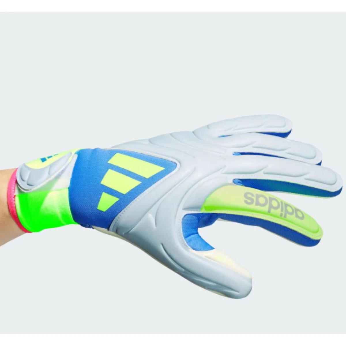 Pánske futbalové brankárske rukavice ADIDAS Copa League GL blue fusion halo blue lucid lemon · záber 2