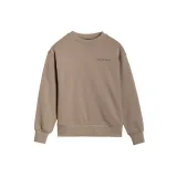 Chlapčenská mikina 4F JUNIOR SWEATSHIRT-JWSS25TSWSM1713-83S-BEIGE · záber 5