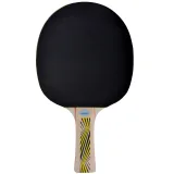 Raketa na stolný tenis DONIC Legends 500 FSC · záber 2