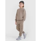 Chlapčenské tepláky 4F JUNIOR TROUSERS CAS M1103-83S-BEIGE · záber 2
