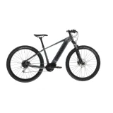 Horský elektrobicykel AMULET (II. Quality) 29 eRival 4.5 SH, black shiny black matt · záber 1