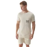 Pánske tričko s krátkym rukávom 4F TSHIRT-4FWSS24TTSHM1284-83S-BEIGE · záber 1