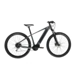 Horský elektrobicykel AMULET 29 eRival 4.5 SH, black shiny black matt · záber 1