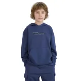 Chlapčenská mikina s kapucňou 4F JUNIOR SWEATSHIRT-JWSS25TSWSM1511-22S-GREY · záber 1