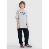 Chlapčenské tričko s krátkym rukávom 4F JUNIOR TSHIRT M1880-27S-COLD LIGHT GREY · záber 4