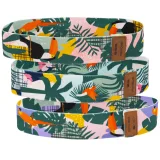 Expandér SPOKEY HOME JUNGLE SET expander · záber 2