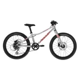 Detský horský bicykel AMULET 20 Youngster SH, alu brushed transparent red · záber 1