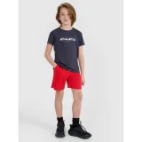 Chlapčenské tréningové tričko s krátkym rukávom 4F JUNIOR TSHIRT FNK M1209-22S-ANTHRACITE · záber 4