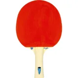Stolnotenisová raketa TIBHAR FUN Samsonov · záber 1