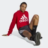 Pánska mikina s kapucňou ADIDAS M BL FT HD-IC9365-Red · záber 4