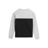 Chlapčenská mikina 4F JUNIOR SWEATSHIRT-JAW23TSWSM630-27M-COLD LIGHT GREY MELANGE · záber 5