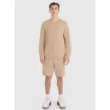 Pánske teplákové kraťasy 4F SHORTS CAS M571-83S-BEIGE · záber 3