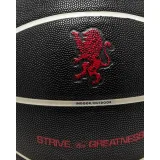 Basketbalová lopta NIKE LEBRON ALL COURT 07 BK PH UR · záber 3