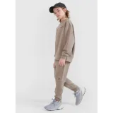 Chlapčenské tepláky 4F JUNIOR TROUSERS CAS M1103-83S-BEIGE · záber 3