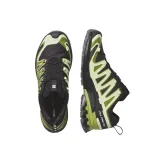 Pánska bežecká trailová obuv SALOMON XA Pro 3D V9 GTX M black lime cream dark citron · záber 4