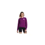 Dámska mikina UNDER ARMOUR UA Rival Terry Graphic Crew-PPL · záber 3